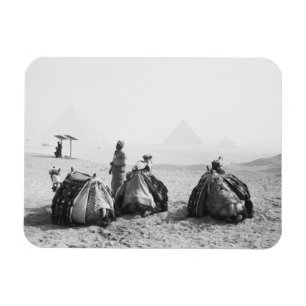 Magnet Flexible Le Caire Égypte, jockeys de chameaux Pyramides de
