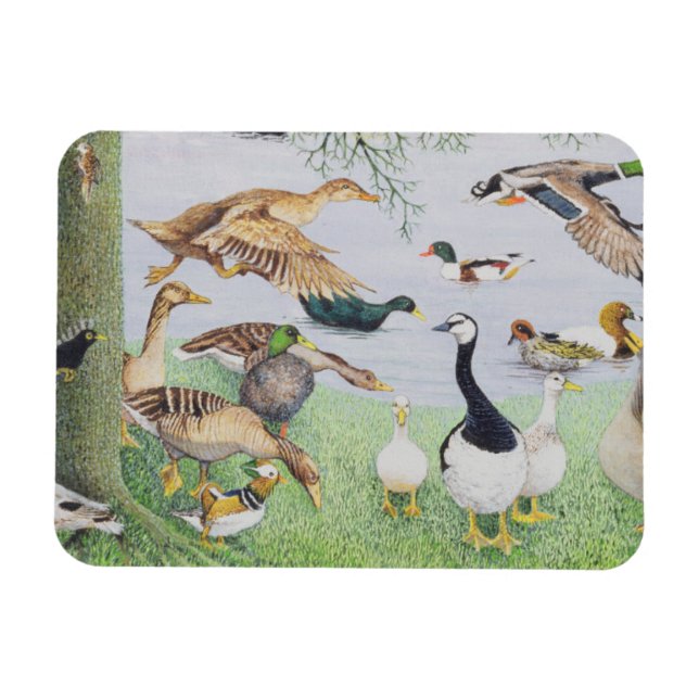 Magnet Flexible Le canard fou (Horizontal)