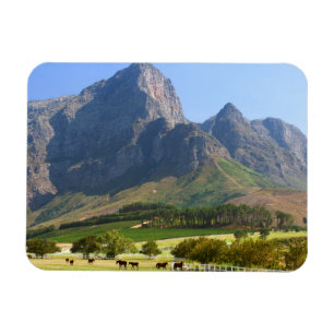 Magnet Flexible Le Cap, Cap-Occidental, Afrique du Sud