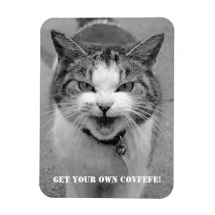Magnet Flexible Le chat fâché "obtiennent votre propre Covfefe !