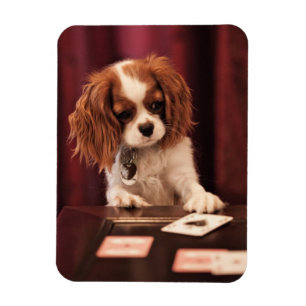 Magnet Flexible Le chiot joue aux cartes