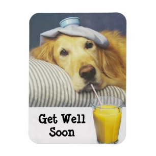 Magnet Flexible Le golden retriever obtiennent l'aimant flexible