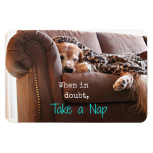 Magnet Flexible Le golden retriever prennent un petit somme