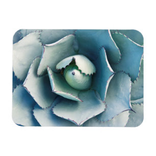Magnet Flexible Le jardin botanique de Huntington