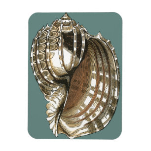 Magnet Flexible Le joyau de l'océan