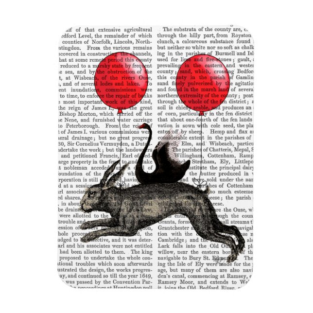 Magnet Flexible Le lièvre (Vertical)