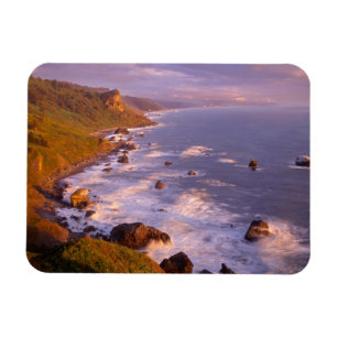Magnet Flexible Le littoral de Redwoods, Californie