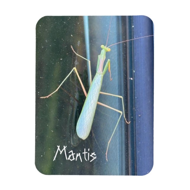 Magnet Flexible Le Mantis (Vertical)