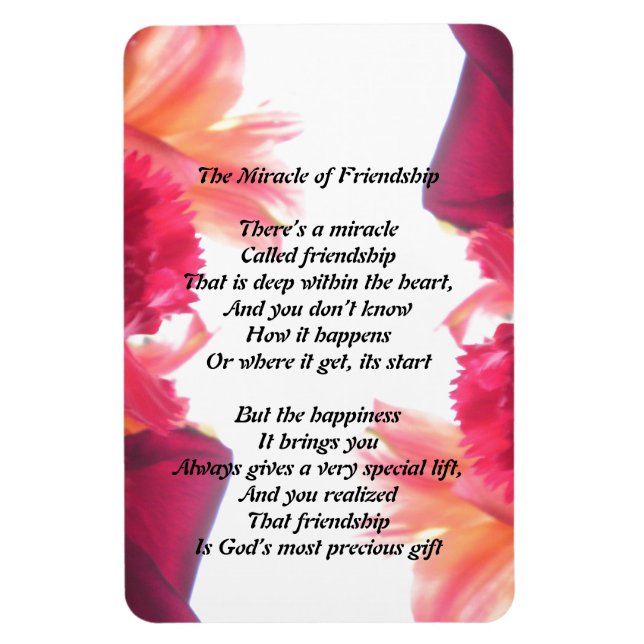 Magnet Flexible Le miracle de l'amitié (Vertical)