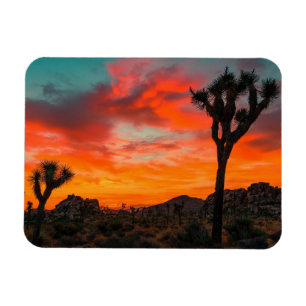 Magnet Flexible Le Parc national de Joshua Tree