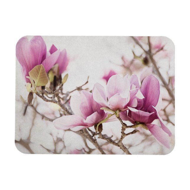 Magnet Flexible Le printemps est dans l'air (Horizontal)