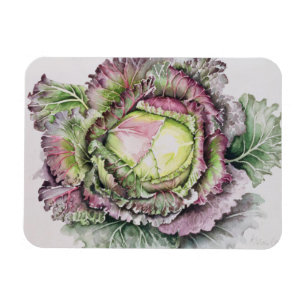 Magnet Flexible Le Roi Cabbage de janvier