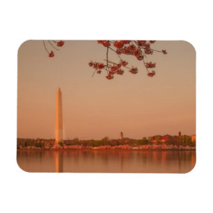 Magnet Flexible Le Sakura de Washington est sunset.