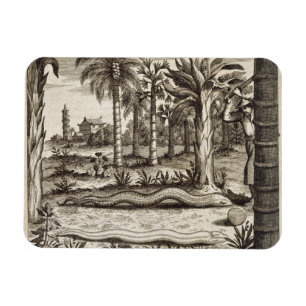 Magnet Flexible Le serpent en pierre, de "Chine a illustré" par