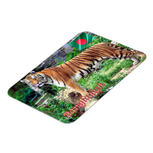 Magnet Flexible Le Tigre royal du Bengale