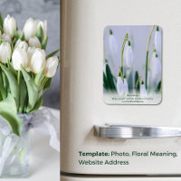 Leçon de la nature : Snowdrop Educational Fridge