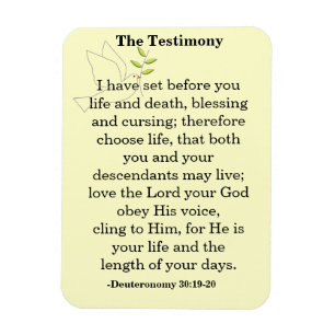 Magnet Flexible L'Écriture Des Témoignages