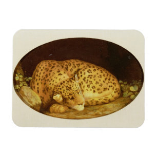 Magnet Flexible Léopard de sommeil de George Stubbs  , 1777 (éma
