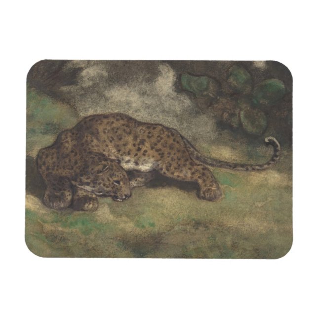 Magnet Flexible Leopard et Serpent (Horizontal)