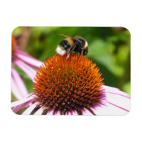 LES ABEILLES
