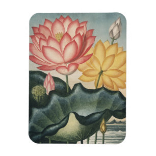 Magnet Flexible Les Beaux-Arts Lotus