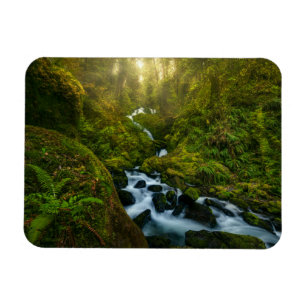 Magnet Flexible Les cascades Parc National Olympique, Washington