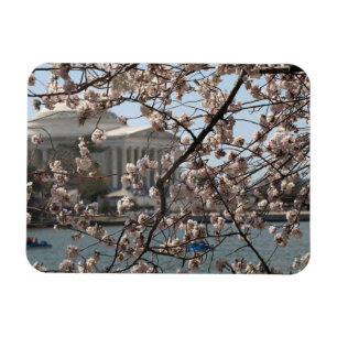 Magnet Flexible Les cerisiers fleurissent à Washington DC