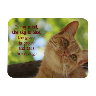 Magnet Flexible Les chats sont orange
