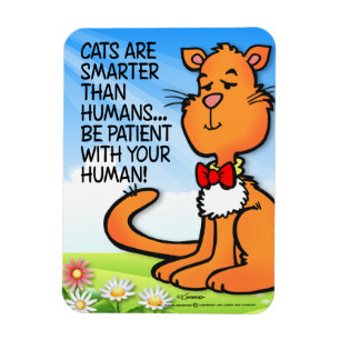 Magnet Flexible Les chats sont plus intelligents