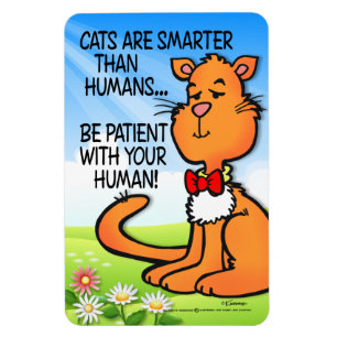 Magnet Flexible Les chats sont plus intelligents