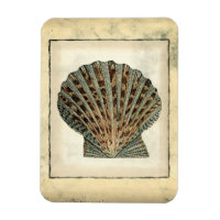 Les Créatures marines au bord de l'eau