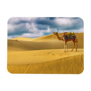Magnet Flexible Les déserts   Thar Desert Rajasthan Inde Camel