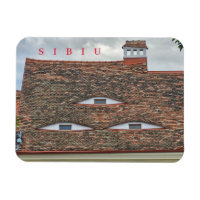 Les fenêtres des yeux Sibiu regardent l'aimant du