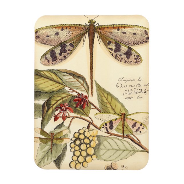 Magnet Flexible Les libellules aux Feuilles et aux fruits (Vertical)