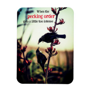 Magnet Flexible Les oiseaux de Tui qui se battent sur le lin