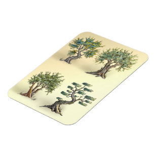 Magnet Flexible Les oliviers en Provence taillés.