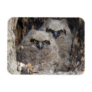 Magnet Flexible Les richesses