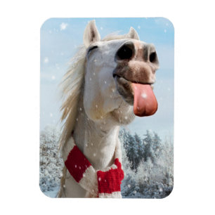 Magnet Flexible Les Snowflakes de Horloge