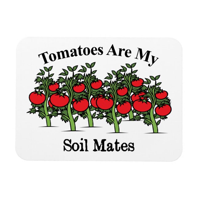 Magnet Flexible Les Tomates Drôle Sont Mes Mates De Sol (Horizontal)
