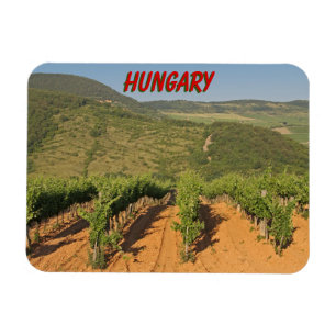 Magnet Flexible Les vignobles de Tokaj, Hongrie