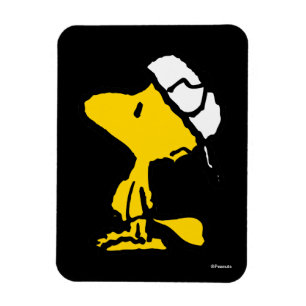 Magnet Flexible Lettre sport Woodstock Varsity Motif