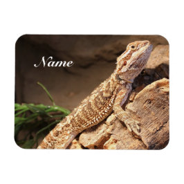 Magnet Flexible Lézard Dragon Porté Par Un Bébé Personnalisé
