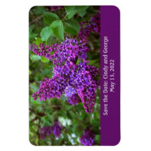 Lilacs violets le jour du printemps - Enregistrer 