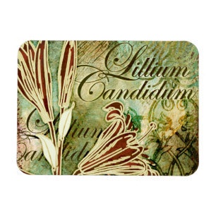 Magnet Flexible Lillium candidum