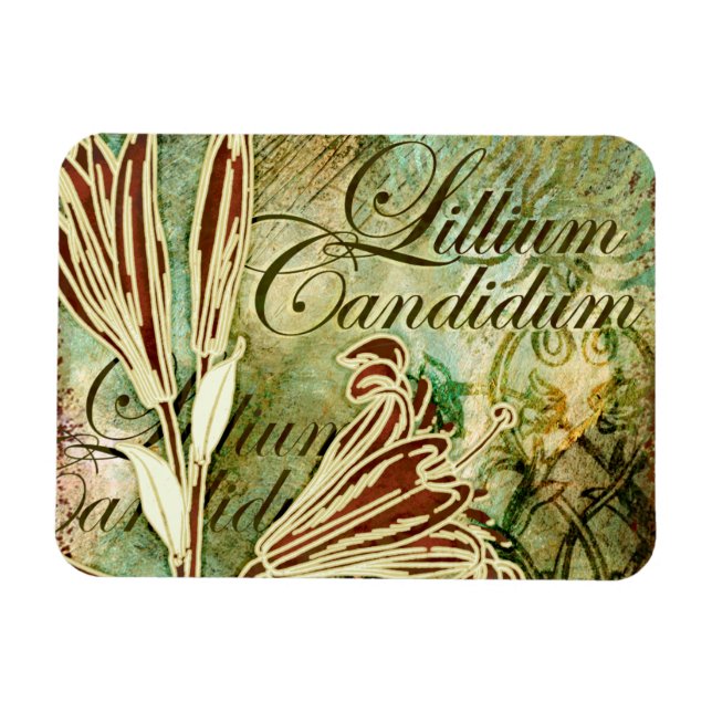 Magnet Flexible Lillium Candidum (Horizontal)