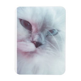 Magnet Flexible Lilly