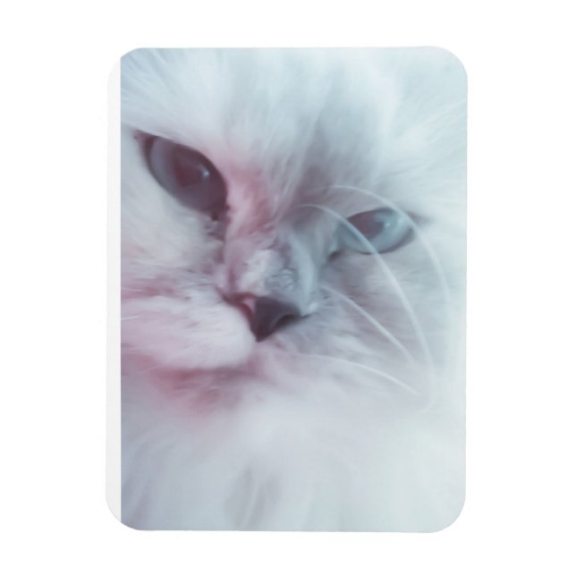 Magnet Flexible Lilly (Vertical)