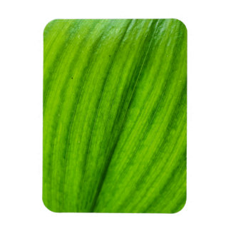 Magnet Flexible Lily de la Vallée