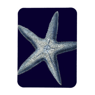 Magnet Flexible L'indigo écosse IV