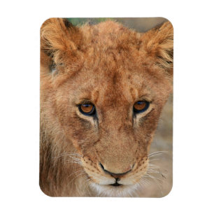 Magnet Flexible Lion CUB